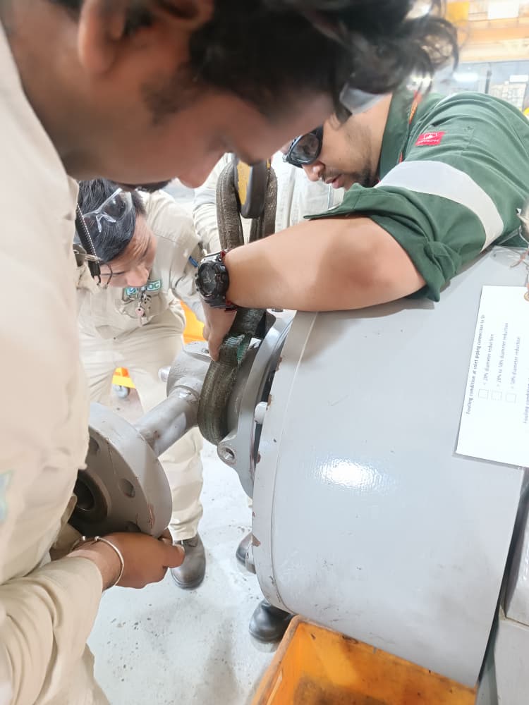 Our Service